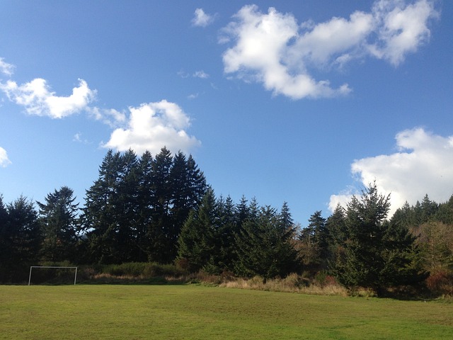 亚历山大都 亚历山大都